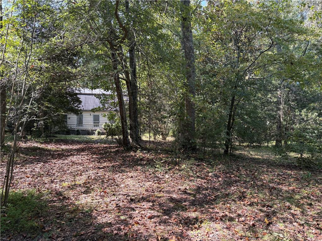 6485 Forsyth Drive Cumming, GA 30028 - Photo 6 of 26 a view of a yard with plants and trees