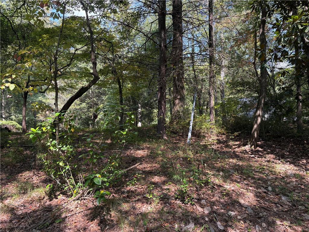 6485 Forsyth Drive Cumming, GA 30028 - Photo 7 of 26