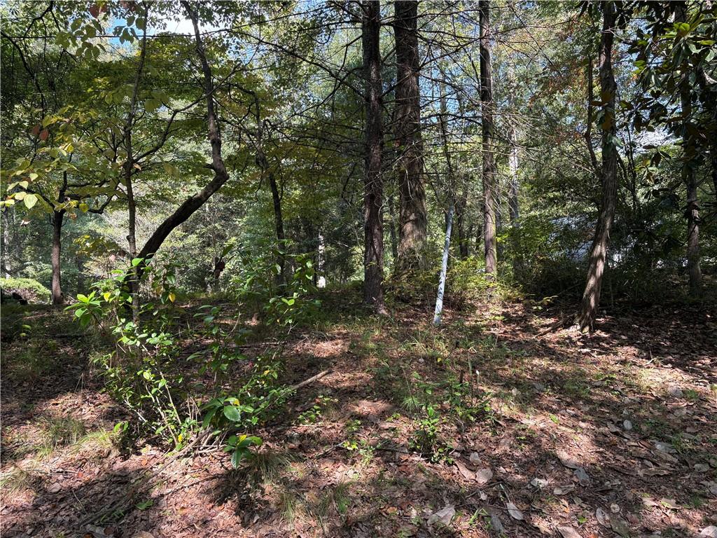 6485 Forsyth Drive Cumming, GA 30028 - Photo 8 of 26 a backyard of a house with lots of green space