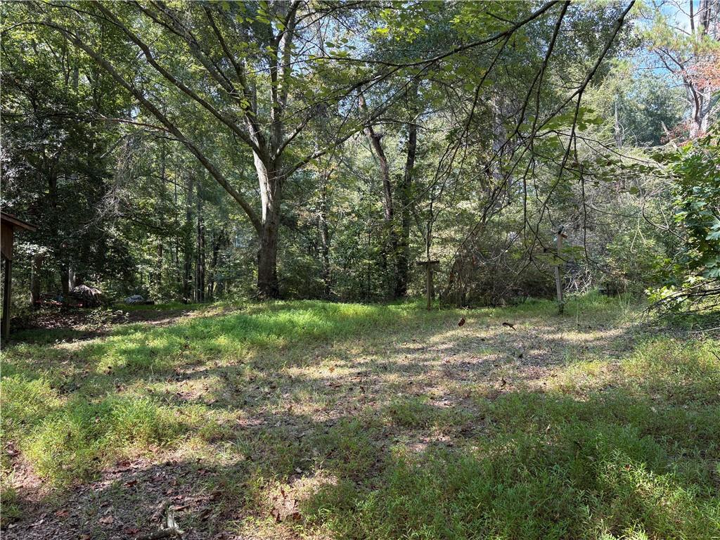 6485 Forsyth Drive Cumming, GA 30028 - Photo 9 of 26 a view of outdoor space and yard