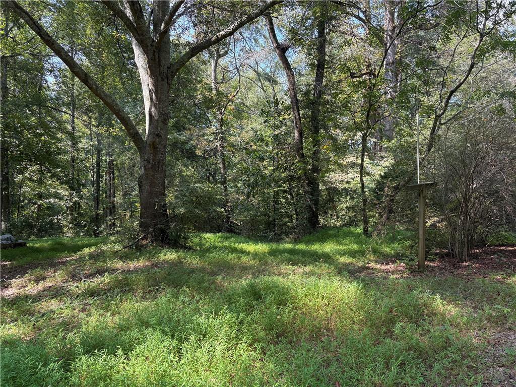 6485 Forsyth Drive Cumming, GA 30028 - Photo 10 of 26 a view of outdoor space and green space