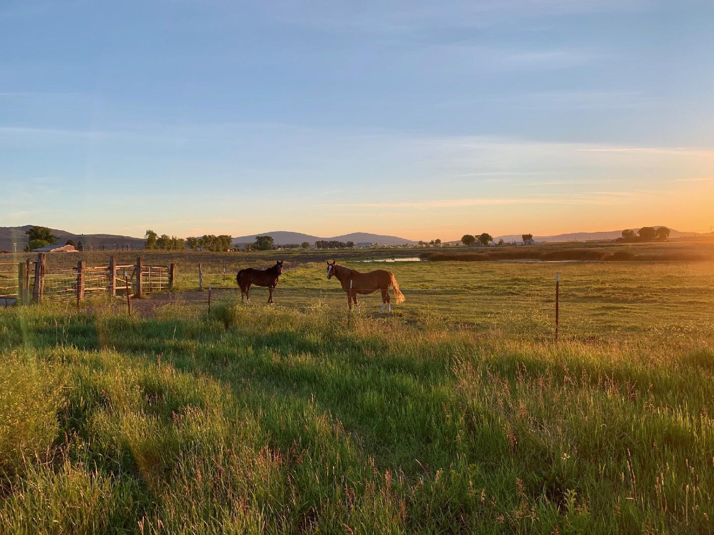 5003 Cross Road Klamath Falls, OR 97603 - Photo 45 of 48 20220215010638473506000000-o