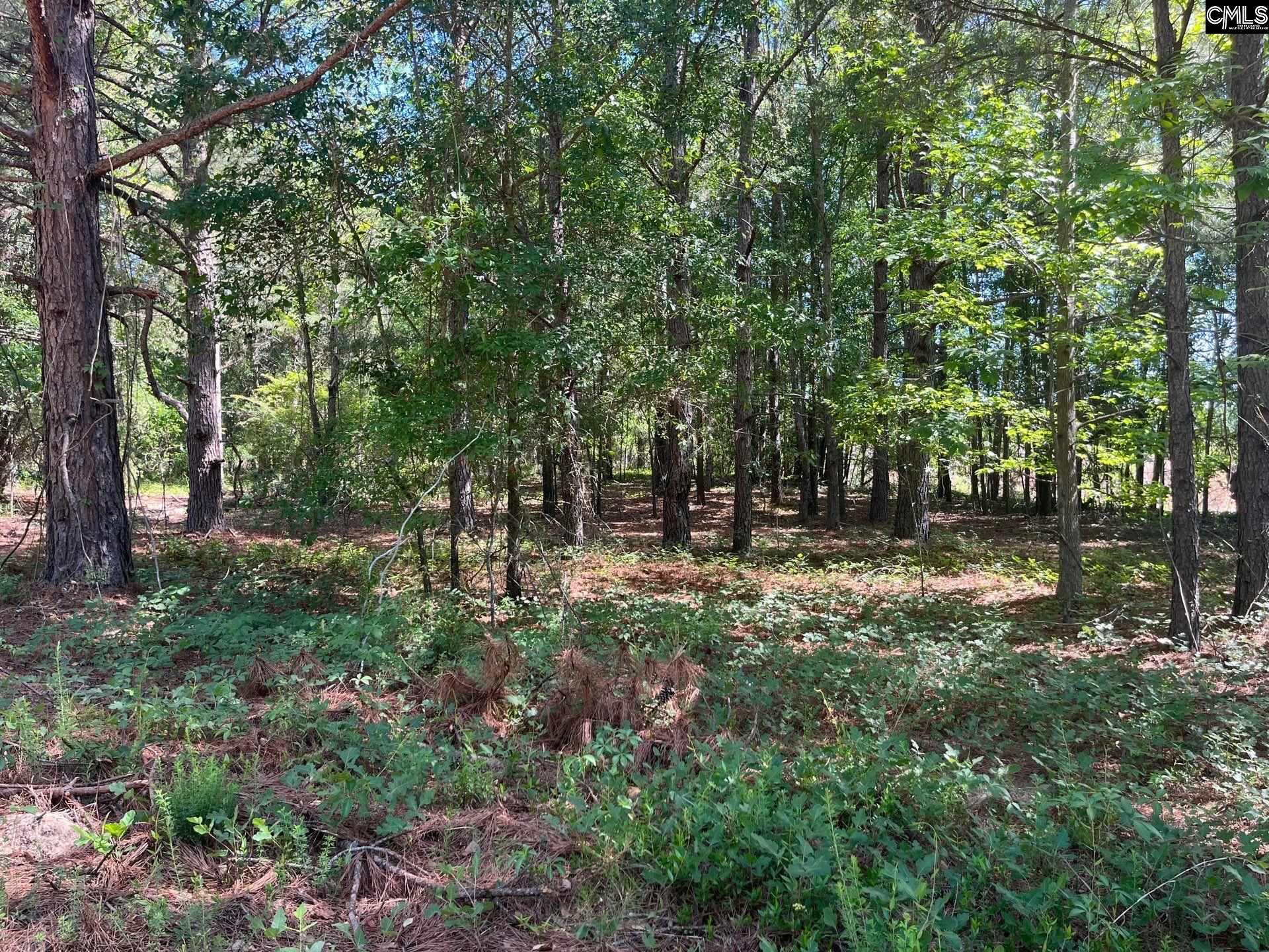 7 Salley Road Salley, SC 29137 - Photo 8 of 11 Gallery Image 8