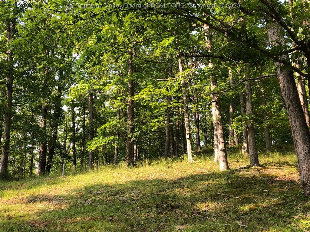 1851 Elk Fork Road Gay, WV 25244 - Photo 14 of 22 Gallery Image 14