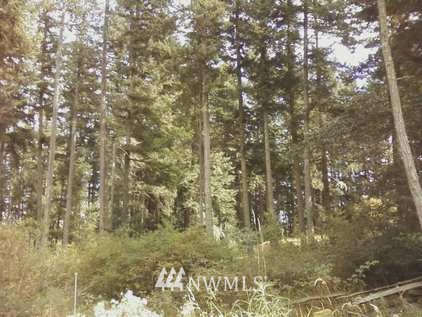123 Smugglers Cove Road Shaw Island, WA 98286 - Photo 1 of 1 Gallery Image 1