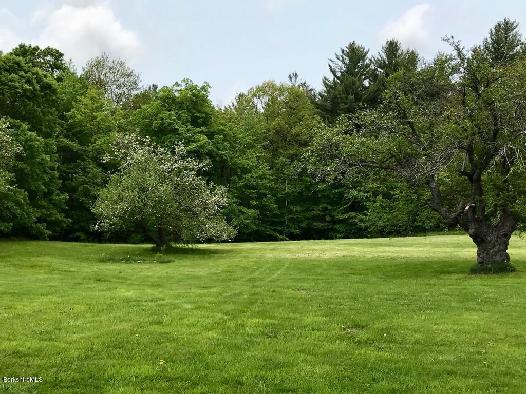 117 Colrain Stage Road Heath, MA 01346 - Photo 4 of 41 a view of a field with a trees in the background