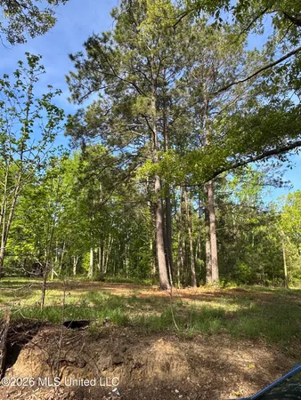$20,000 | 0 Stump Road, Gloster, MS 39638