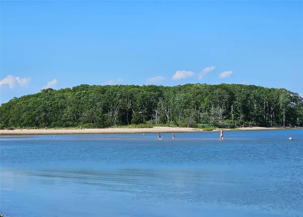 a backyard of a house with lots of green space and two chairs