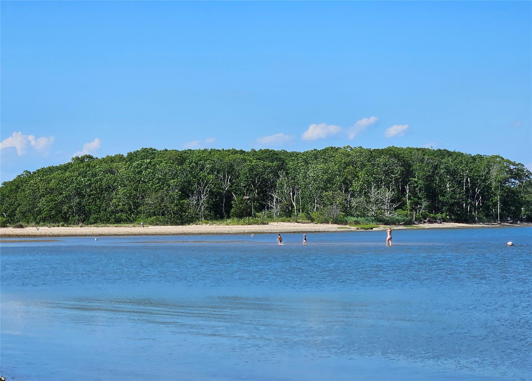 3650 Bay Shore Road Greenport, NY 11944 - Photo 3 of 30 Fabulous Open Views