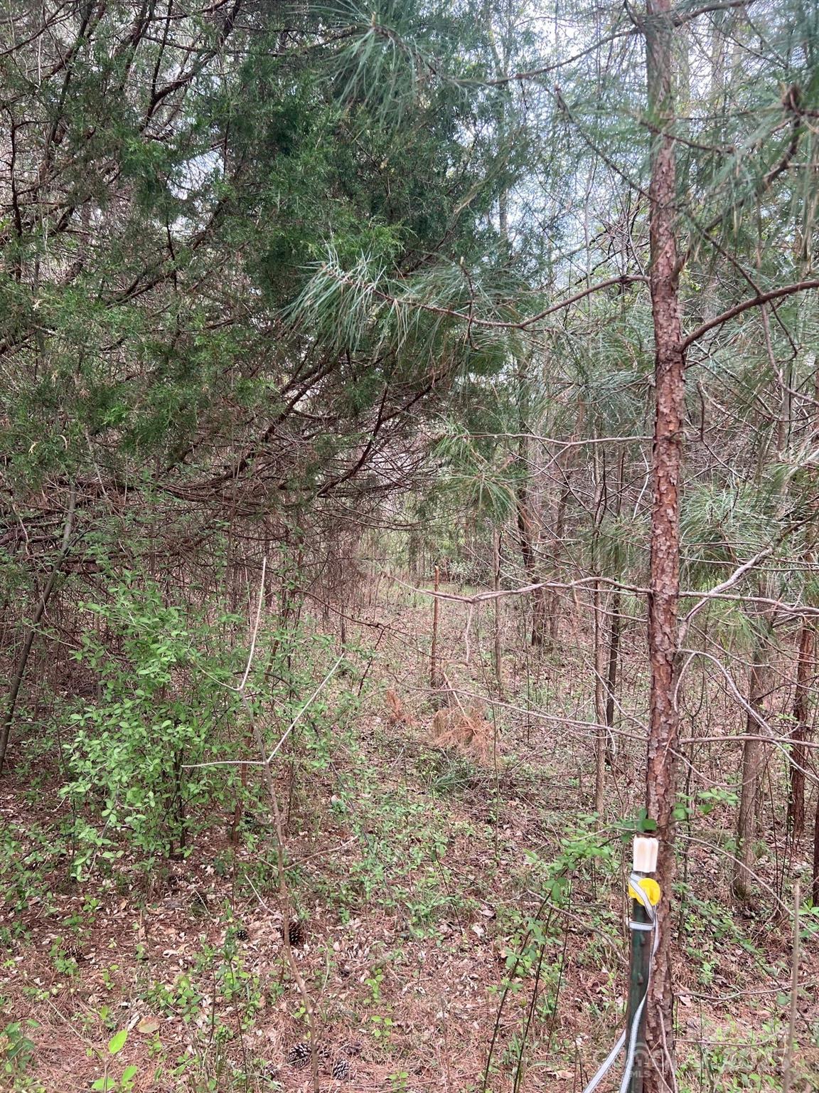 11055 Graybark Road Midland, NC 28107 - Photo 3 of 4 a view of a yard