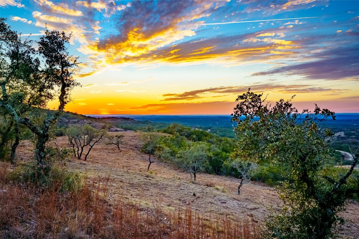 Undisclosed Address Dripping Springs, TX 78620 - Photo 18 of 19 a view of a yard with a garden