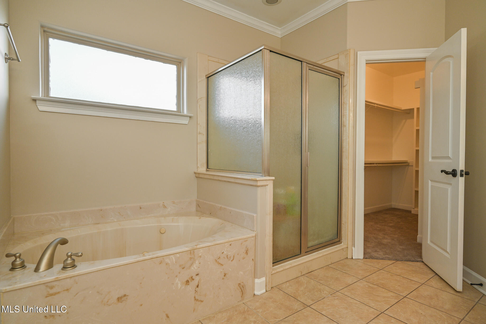 13294 Old Locke Road Olive Branch, MS 38654 - Photo 27 of 55 DSC_6816