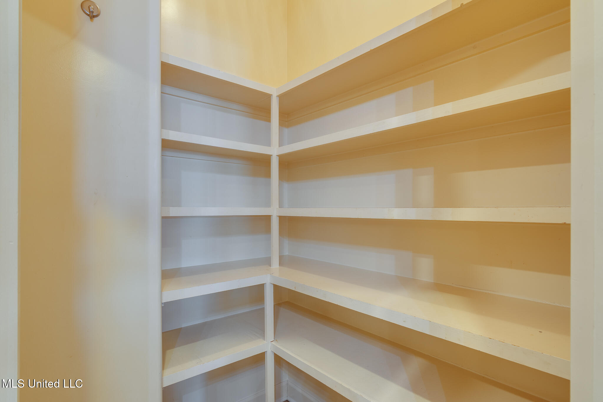 13294 Old Locke Road Olive Branch, MS 38654 - Photo 30 of 55 spacious pantry with wood shelves