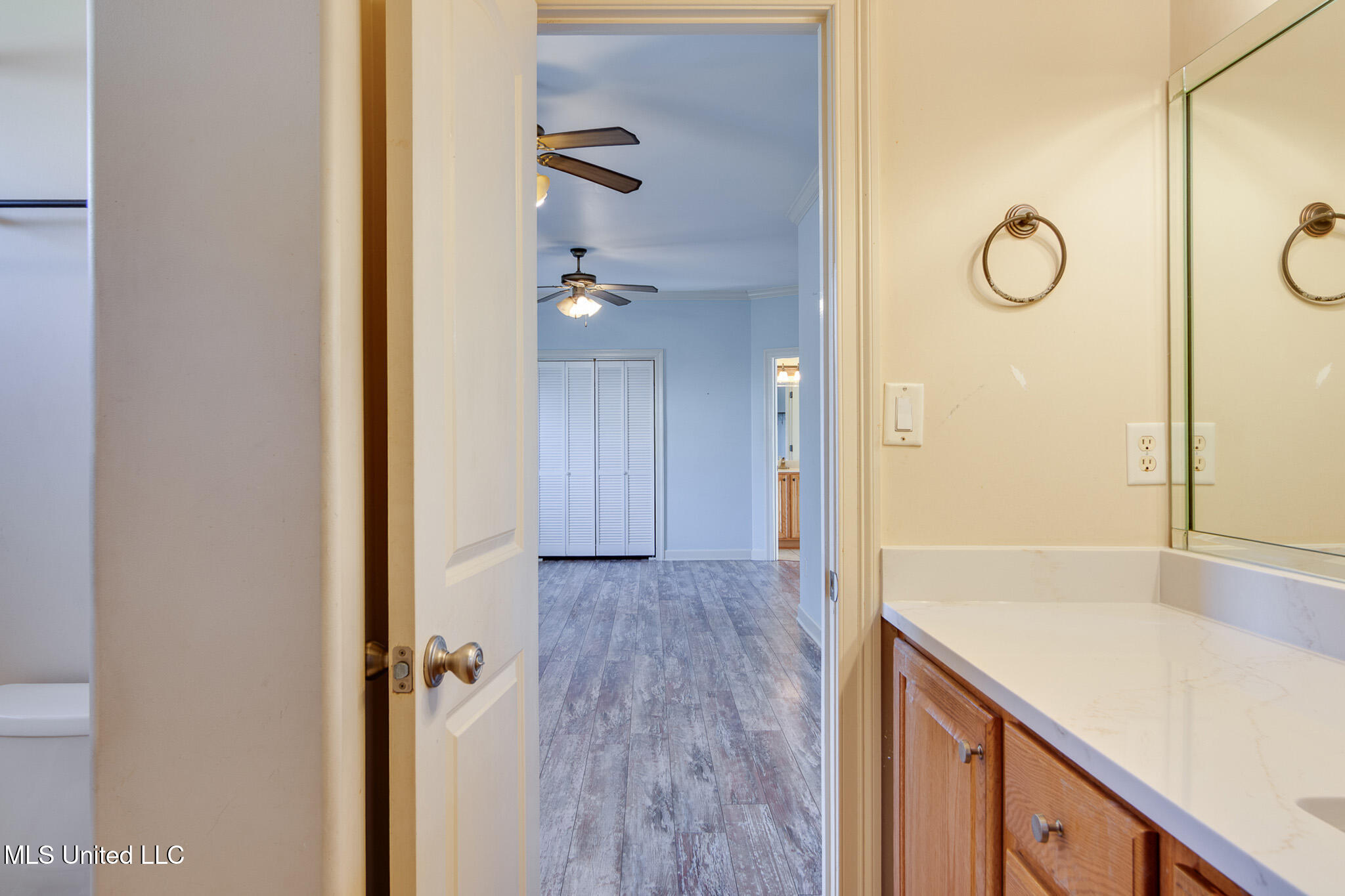 13294 Old Locke Road Olive Branch, MS 38654 - Photo 37 of 55 Jack n jill bath bed 2 & 3