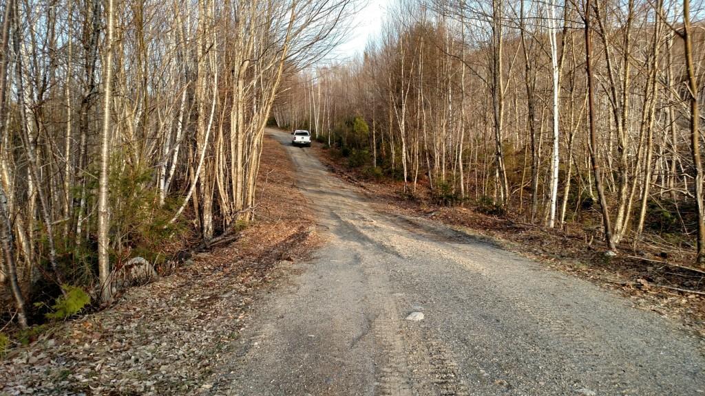 Lot 8 Spaulding Pond Road Lakeville, ME 04487 - Photo 8 of 10 Photo