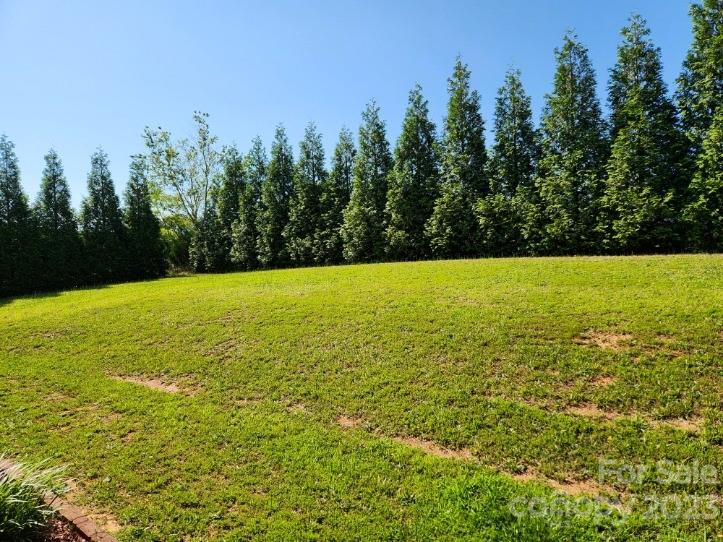2326 Center Road Chester, SC 29706 - Photo 37 of 42 a view of an ocean from a yard