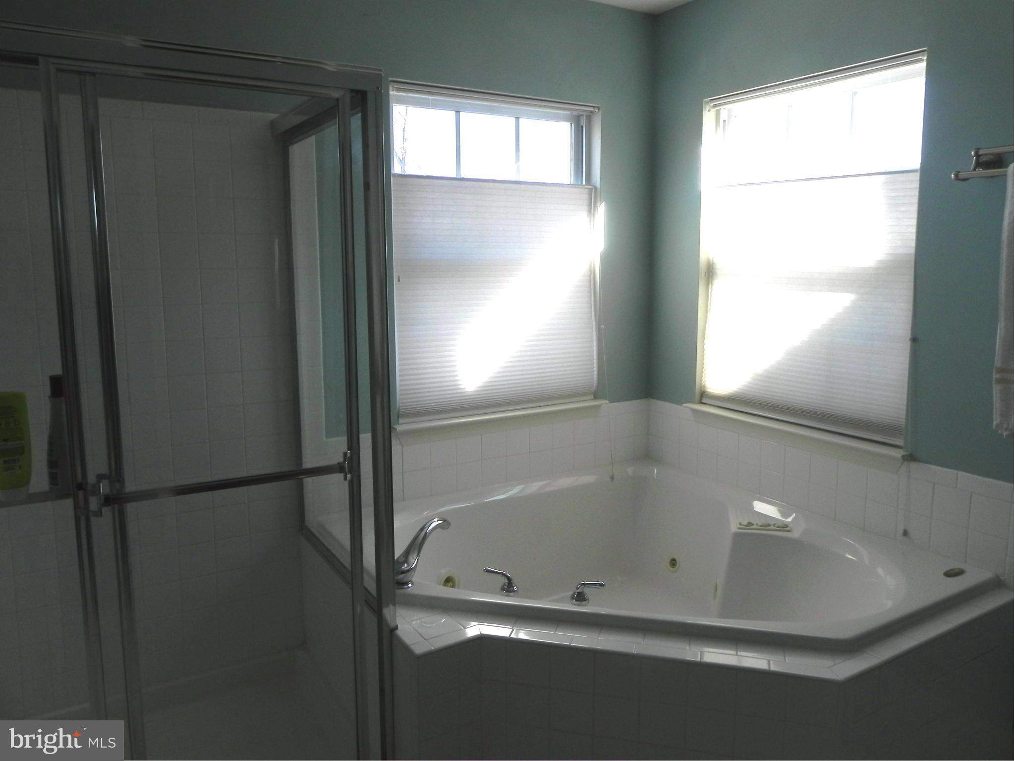 96 Two Rivers Drive Edgewater, MD 21037 - Photo 14 of 30 Bath (Master)