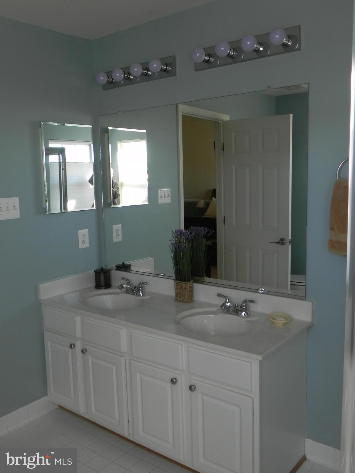 96 Two Rivers Drive Edgewater, MD 21037 - Photo 15 of 30 Bath (Master)