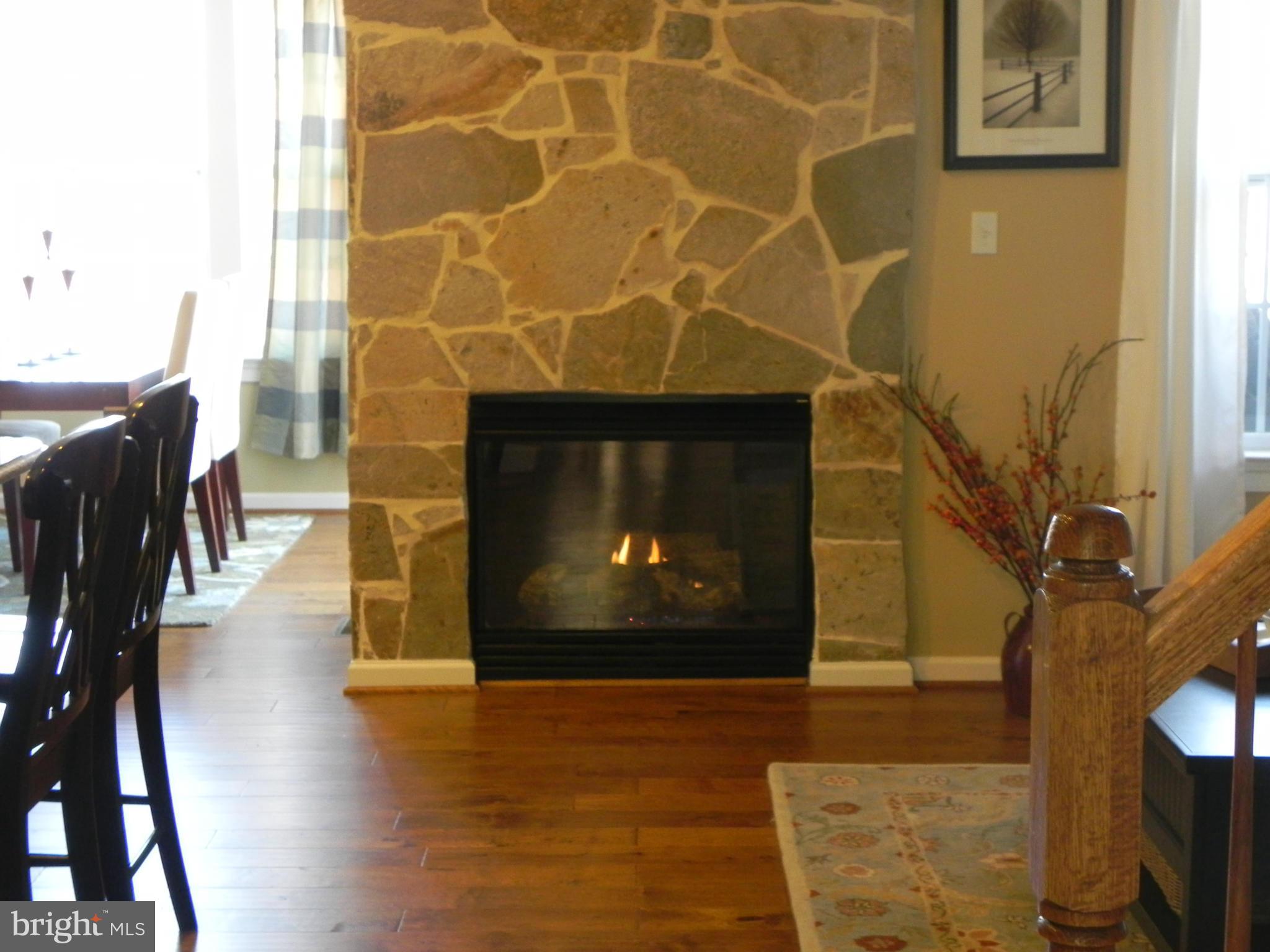 96 Two Rivers Drive Edgewater, MD 21037 - Photo 5 of 30 Family Room