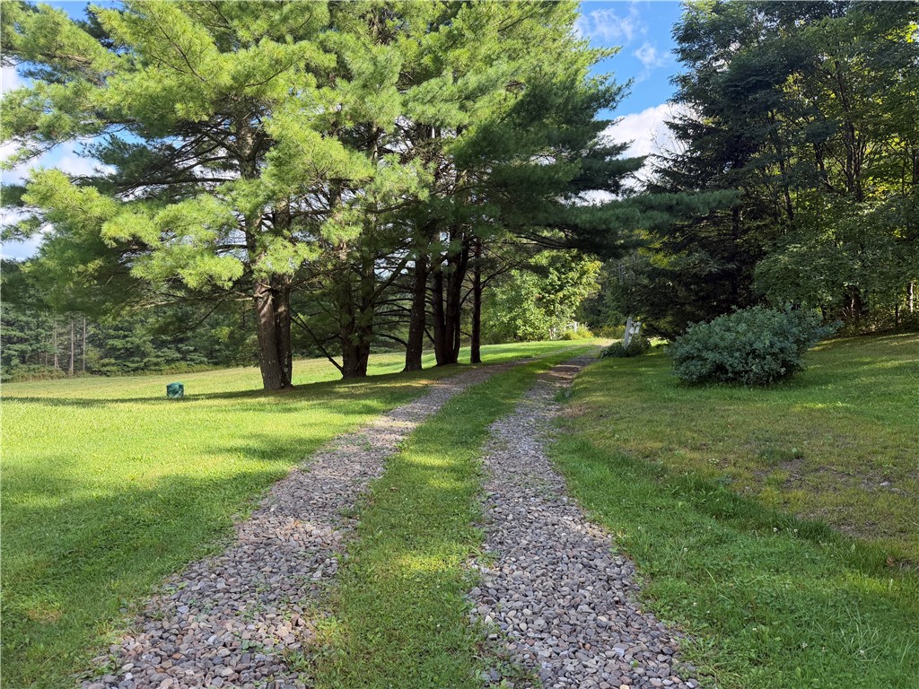 297 Skillen Road Middlefield, NY 13326 - Photo 45 of 47 Gallery Image 45