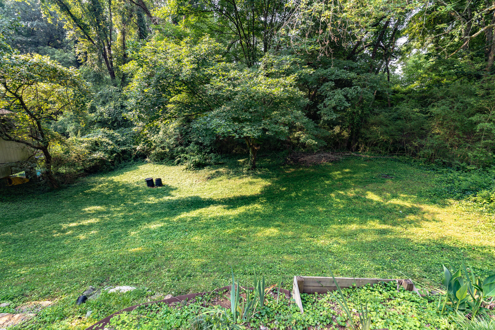 723 Florida Avenue Oak Ridge, TN 37830 - Photo 29 of 38 Backyard-1