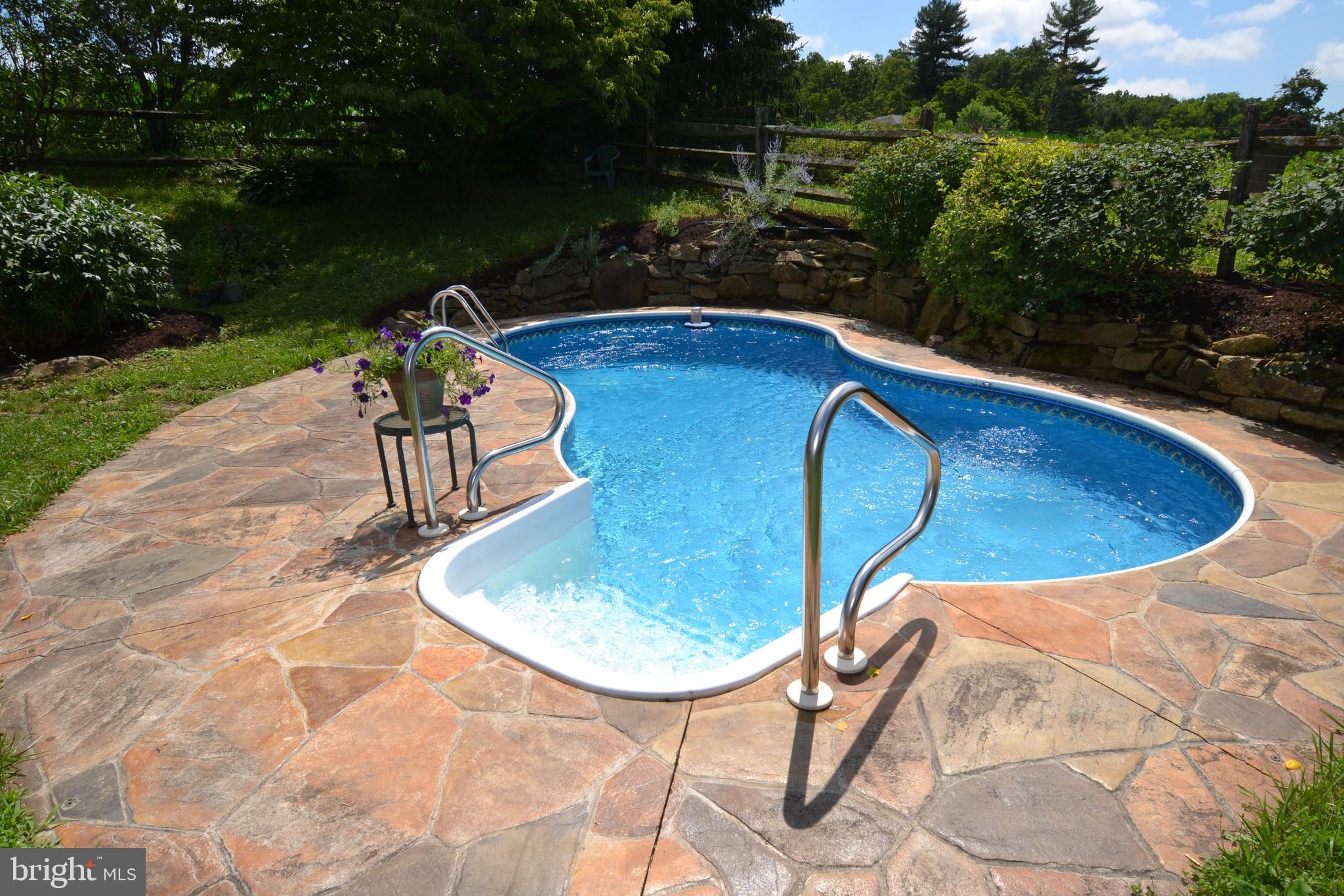 329 Isabella Road Elverson, PA 19520 - Photo 3 of 73 In ground pool w/stamped concrete patio