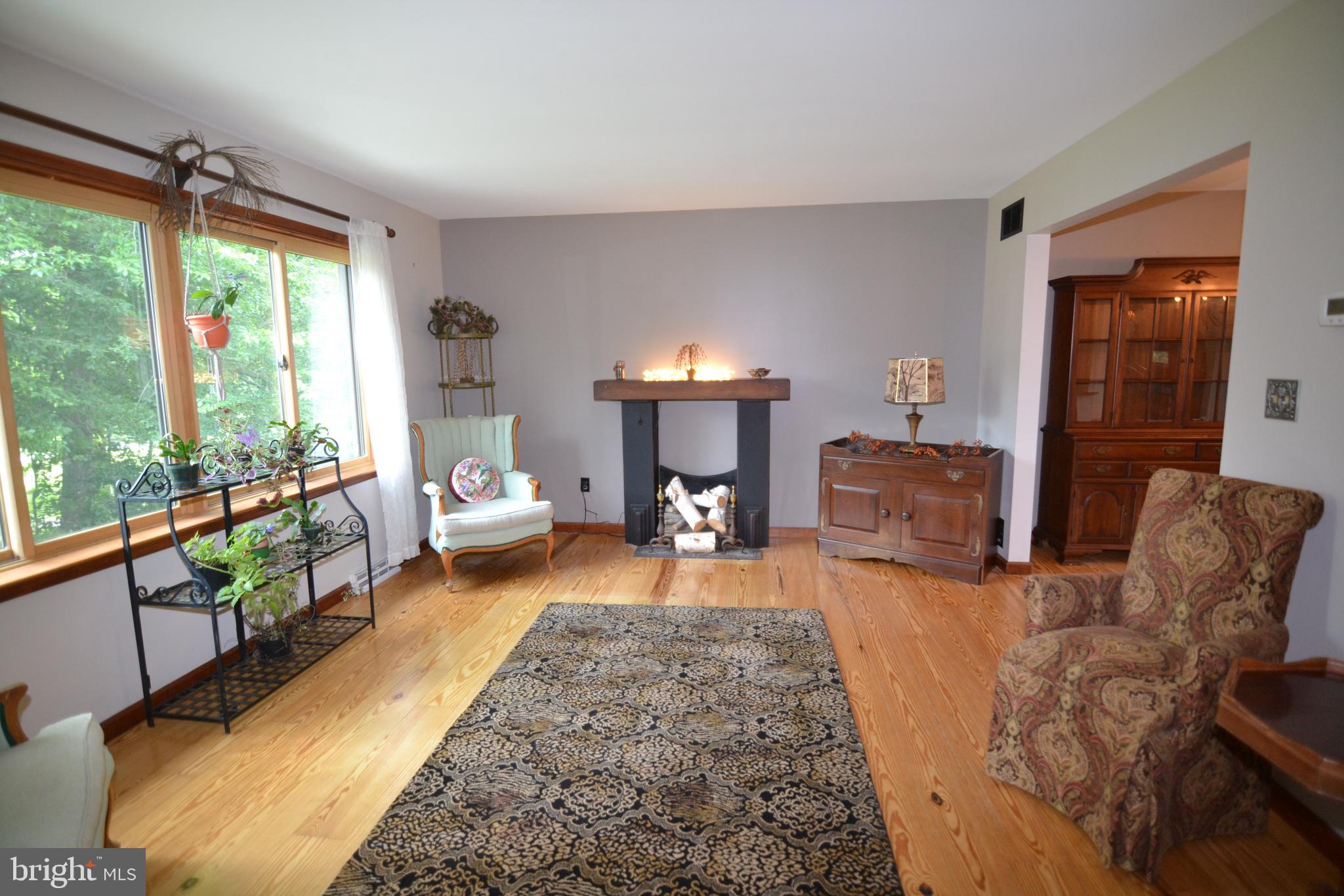 329 Isabella Road Elverson, PA 19520 - Photo 24 of 73 Living Room with fireplace