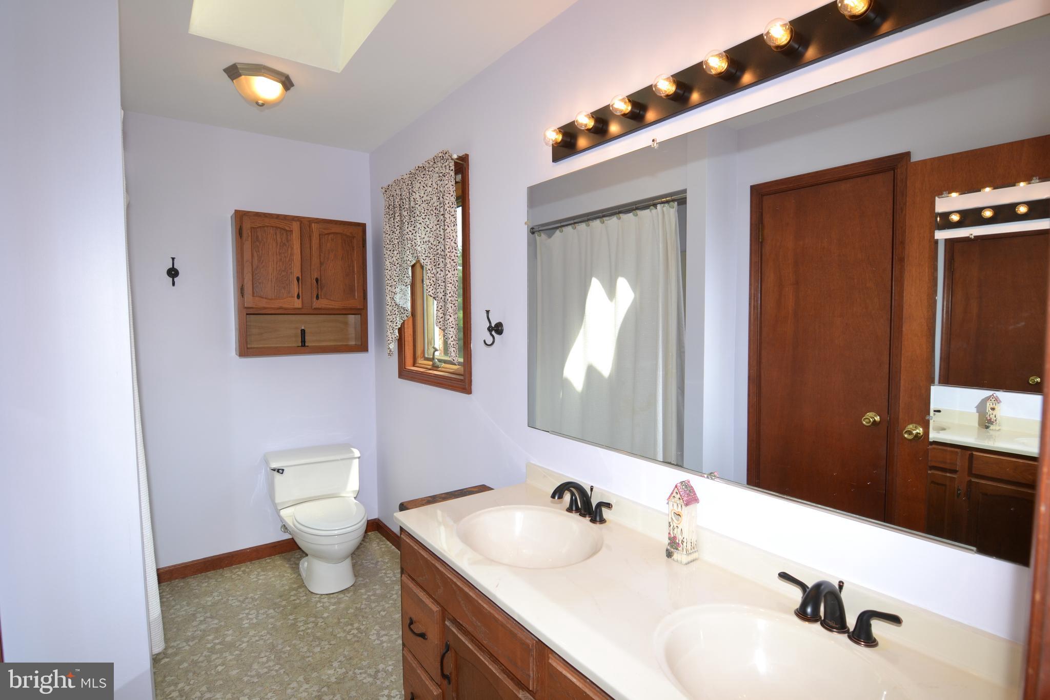 329 Isabella Road Elverson, PA 19520 - Photo 31 of 73 Master bedroom with skylight and double sink