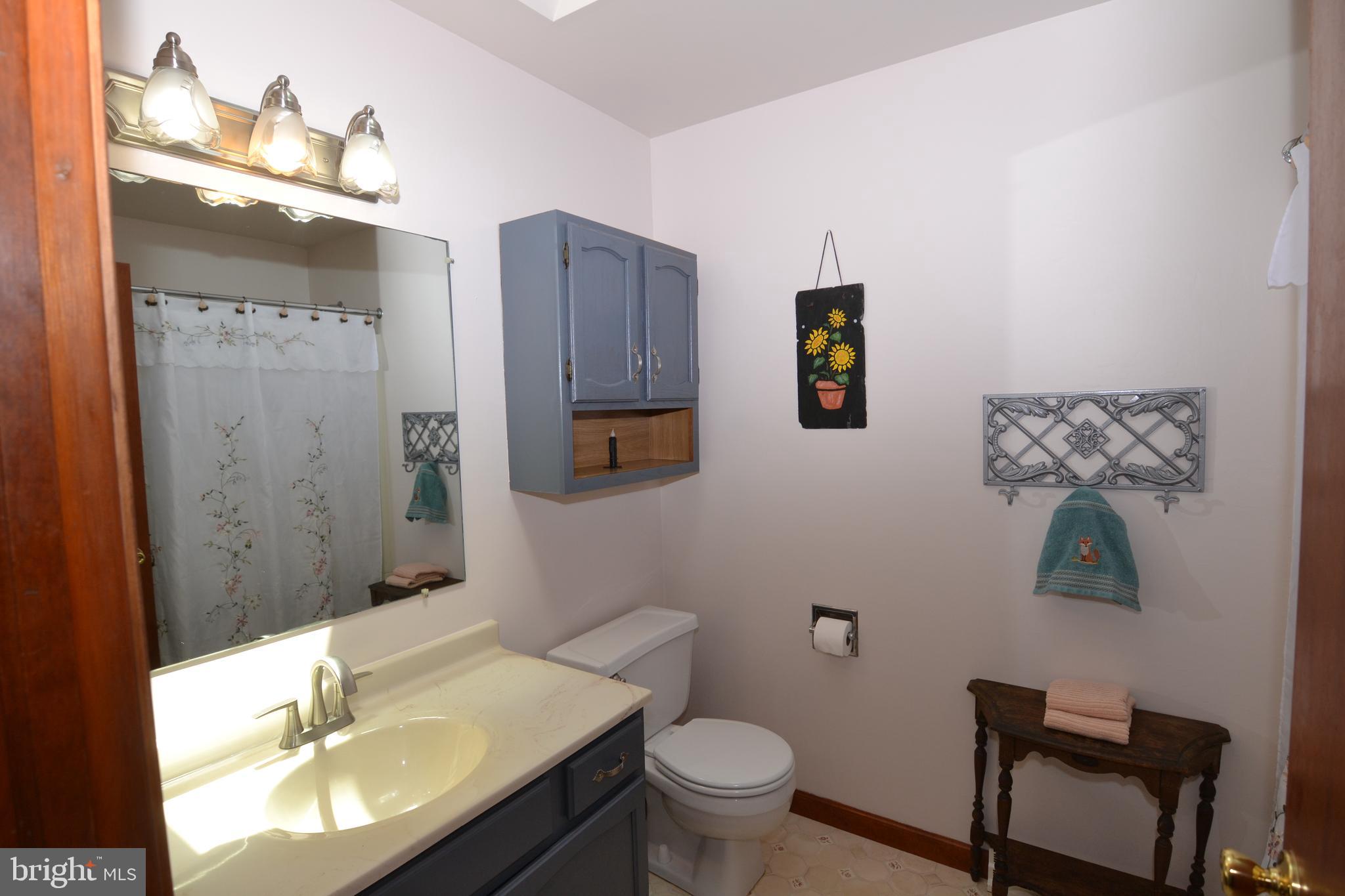 329 Isabella Road Elverson, PA 19520 - Photo 33 of 73 Hall bathroom # 2 with skylight