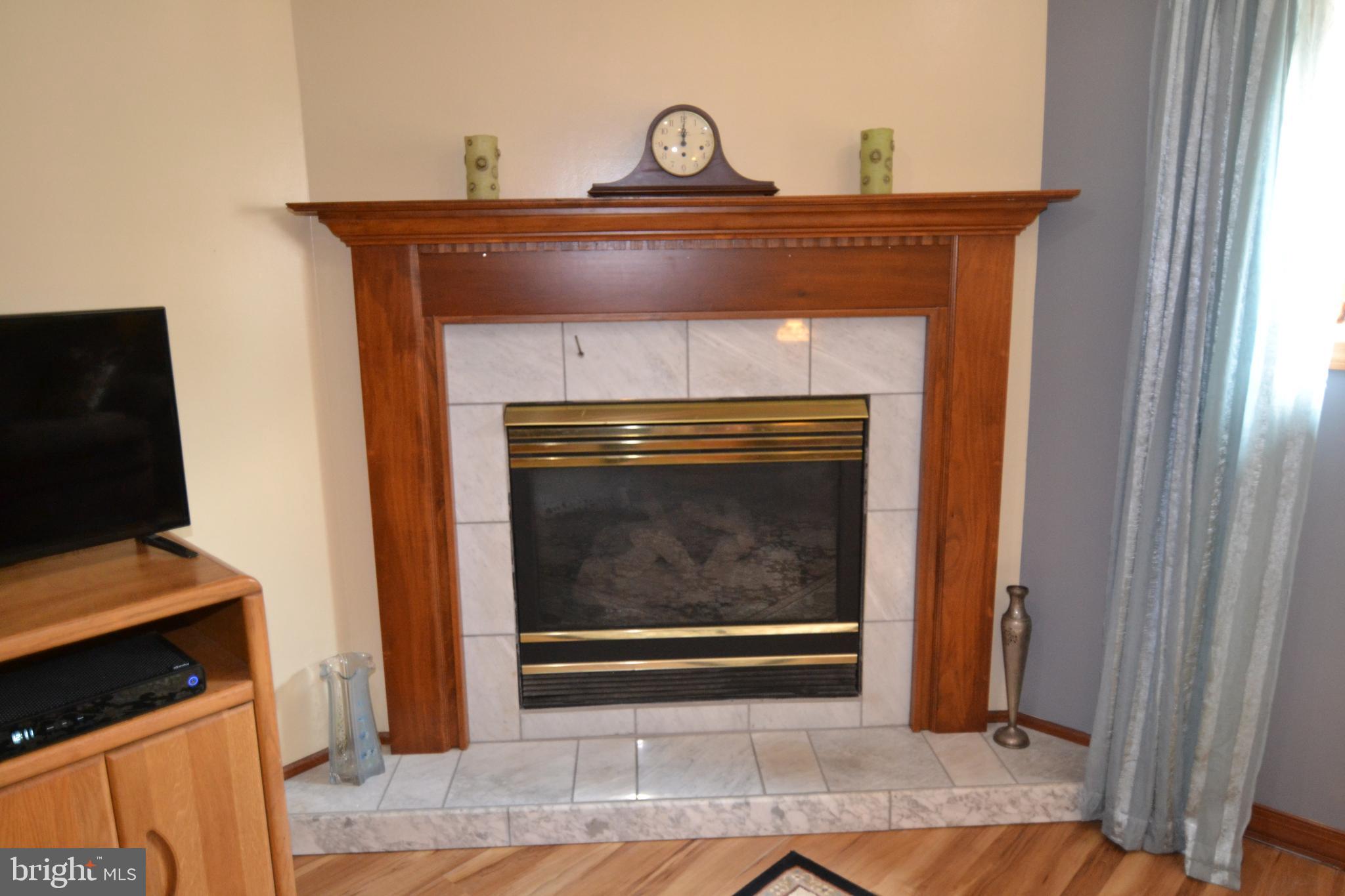 329 Isabella Road Elverson, PA 19520 - Photo 36 of 73 Family room with gas fireplace