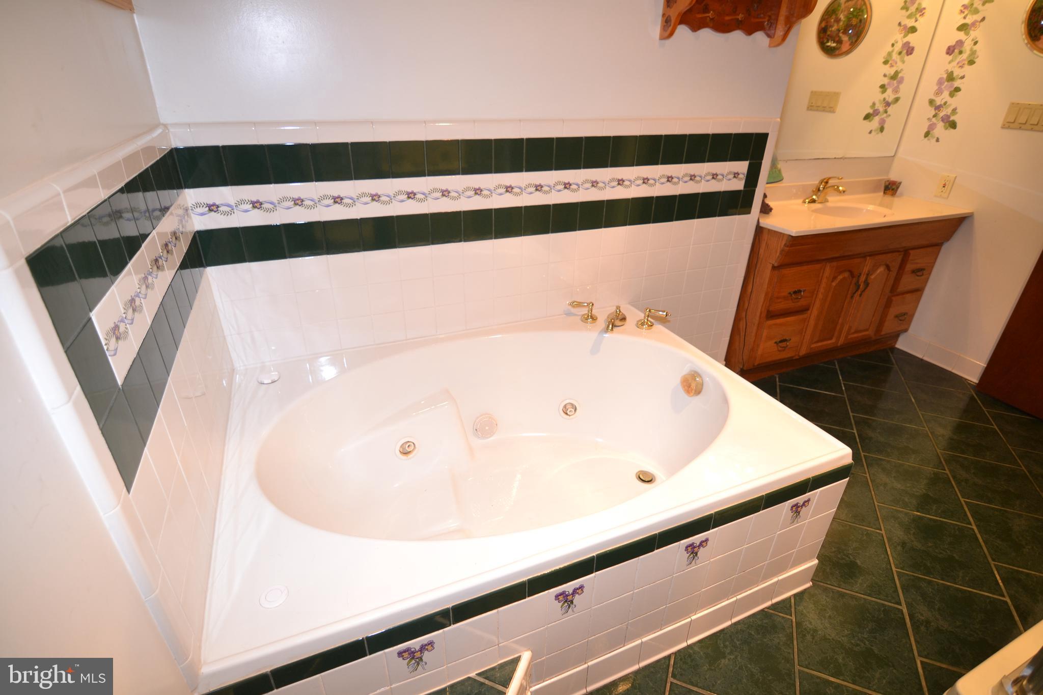 329 Isabella Road Elverson, PA 19520 - Photo 38 of 73 Bathroom #3 with soaking tub