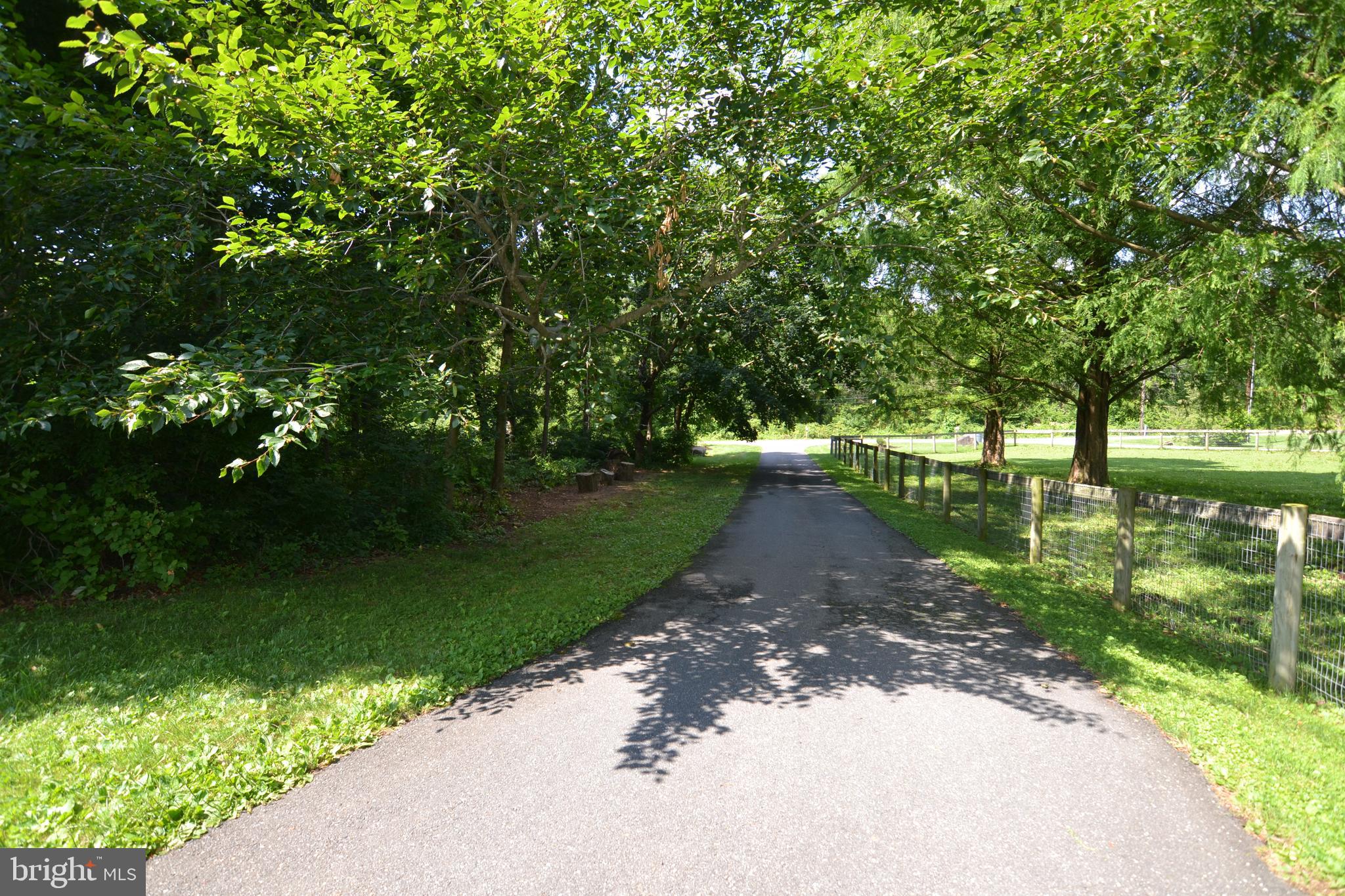 329 Isabella Road Elverson, PA 19520 - Photo 68 of 73 Tree lined driveway
