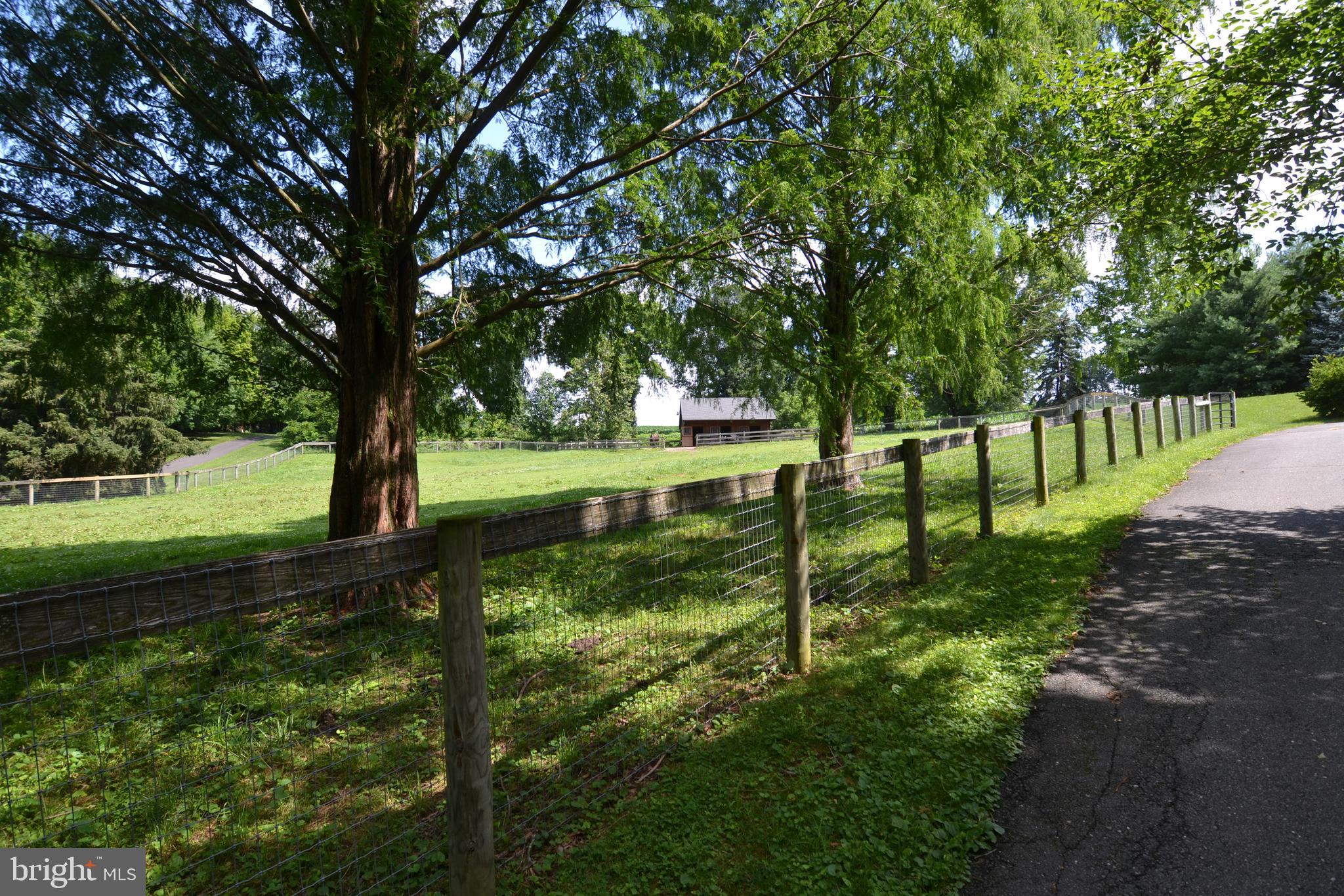 329 Isabella Road Elverson, PA 19520 - Photo 69 of 73 Fenced pasture with shade trees