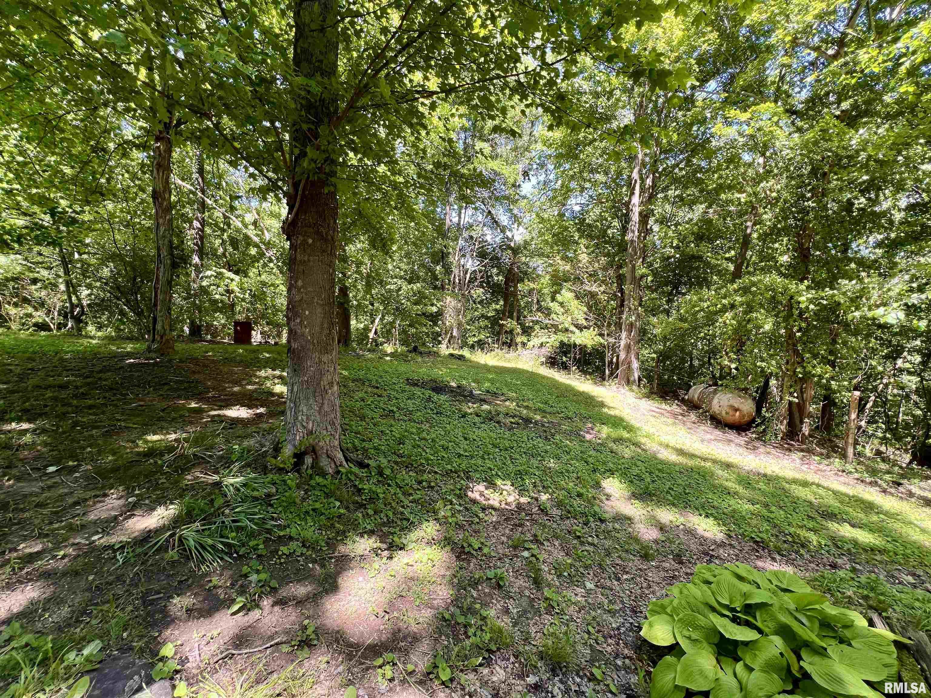 88 South Jungle Road Murphysboro, IL 62966 - Photo 59 of 68 Gallery Image 59