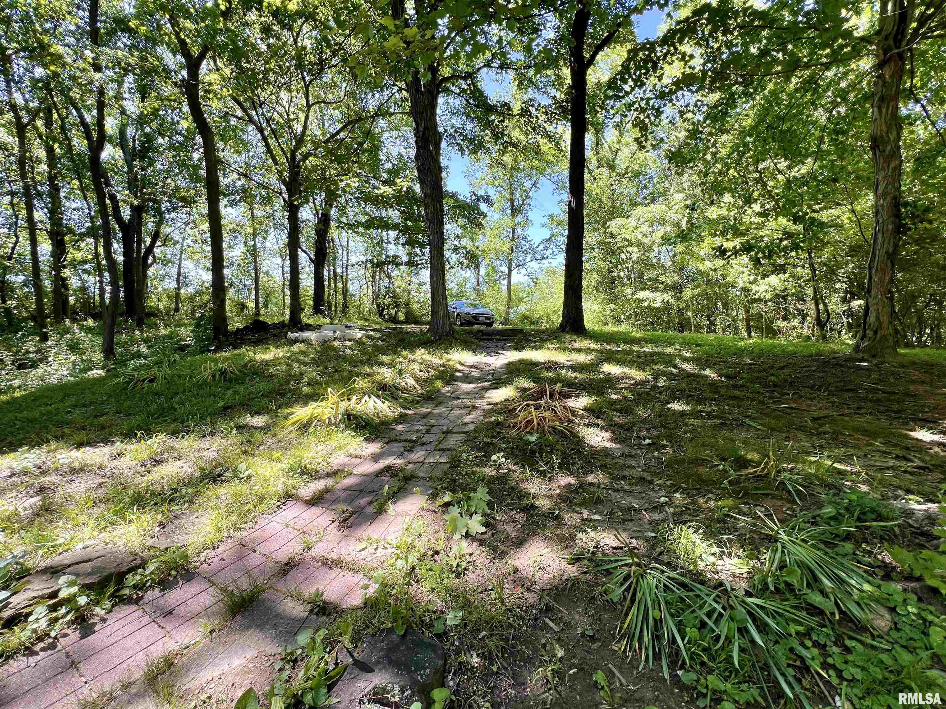 88 South Jungle Road Murphysboro, IL 62966 - Photo 65 of 68 Gallery Image 65