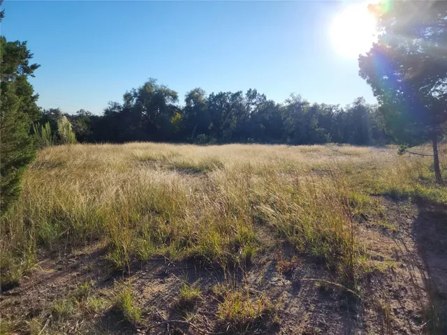a view of a yard with a tree