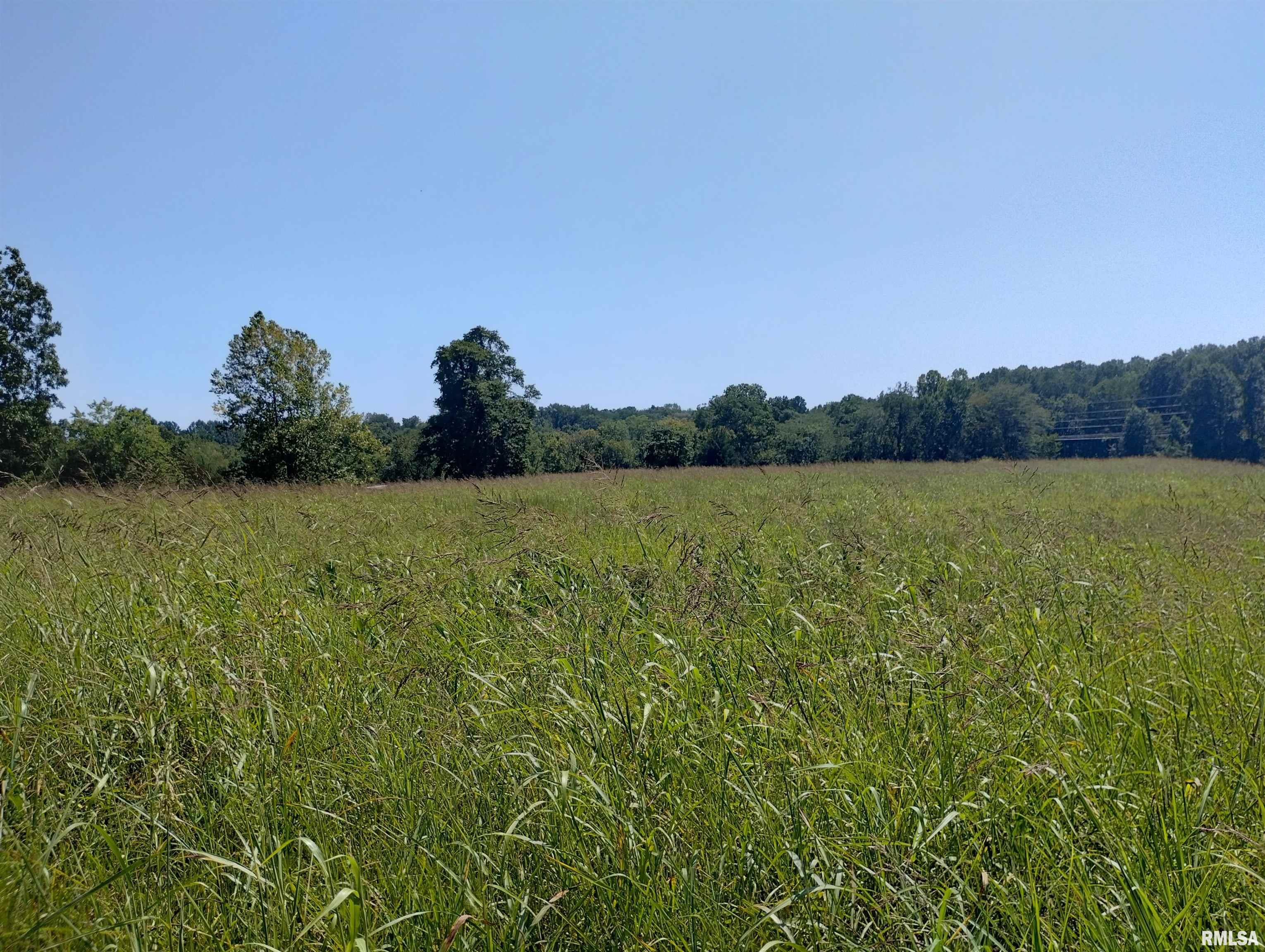 0 Casper Church Road Anna, IL 62906 - Photo 11 of 13 Gallery Image 11