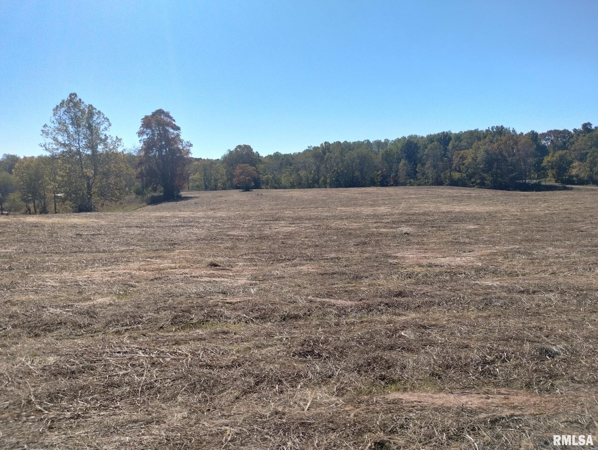0 Casper Church Road Anna, IL 62906 - Photo 3 of 13 Gallery Image 3