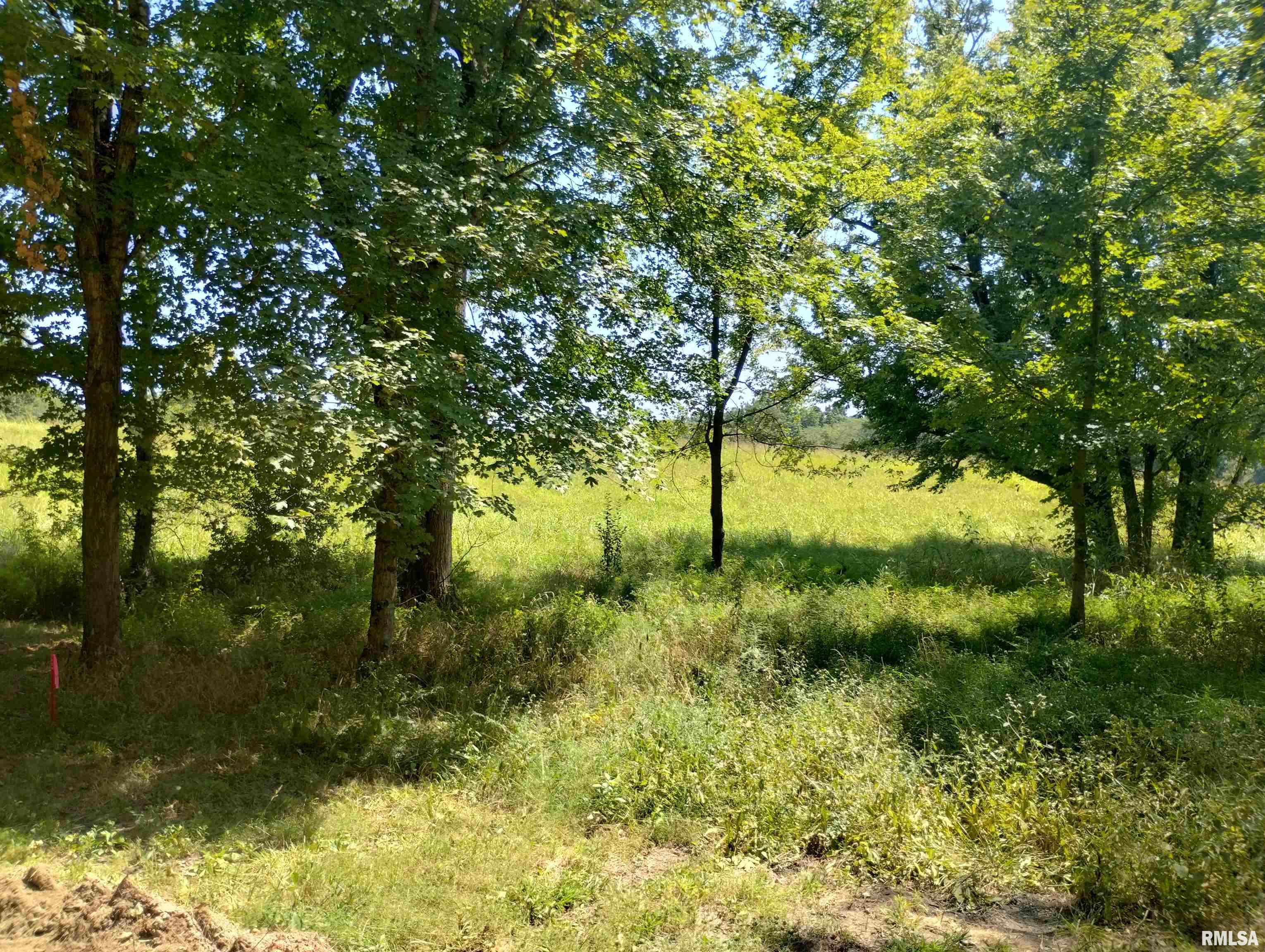 0 Casper Church Road Anna, IL 62906 - Photo 10 of 13 Gallery Image 10