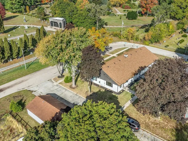 a view of a yard with plants and trees