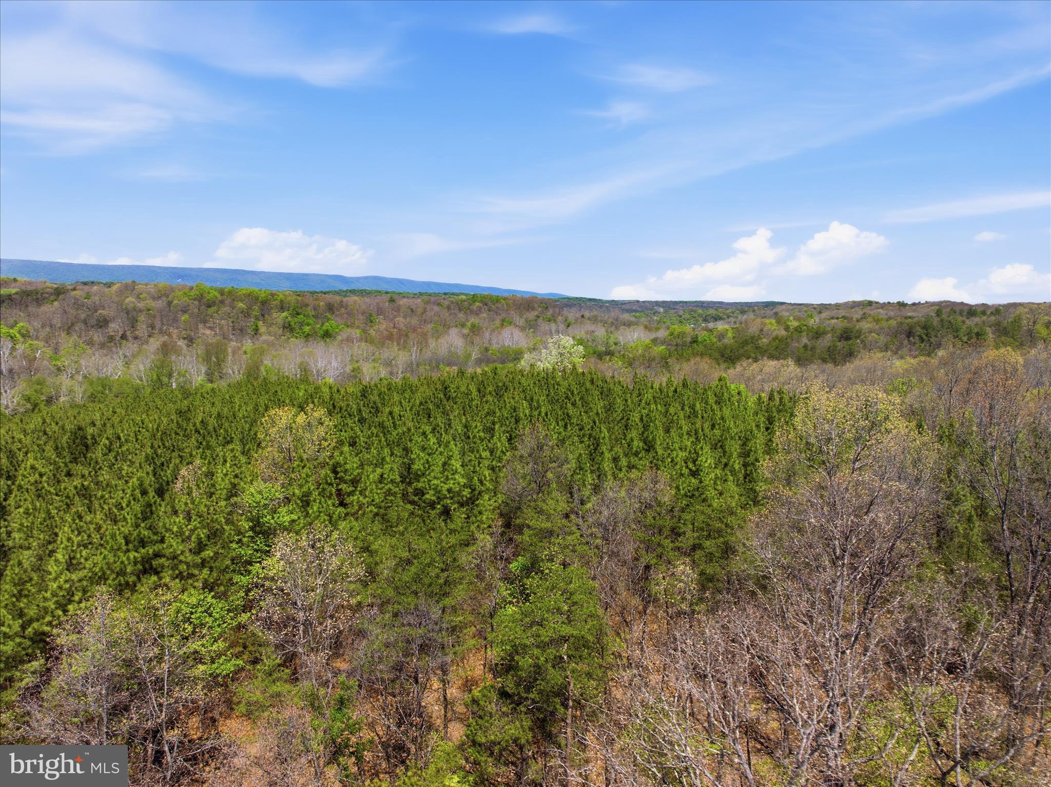 Off Virginia Line Road Berkeley Springs, WV 25411 - Photo 20 of 26 Aerial View 41.2 Acres