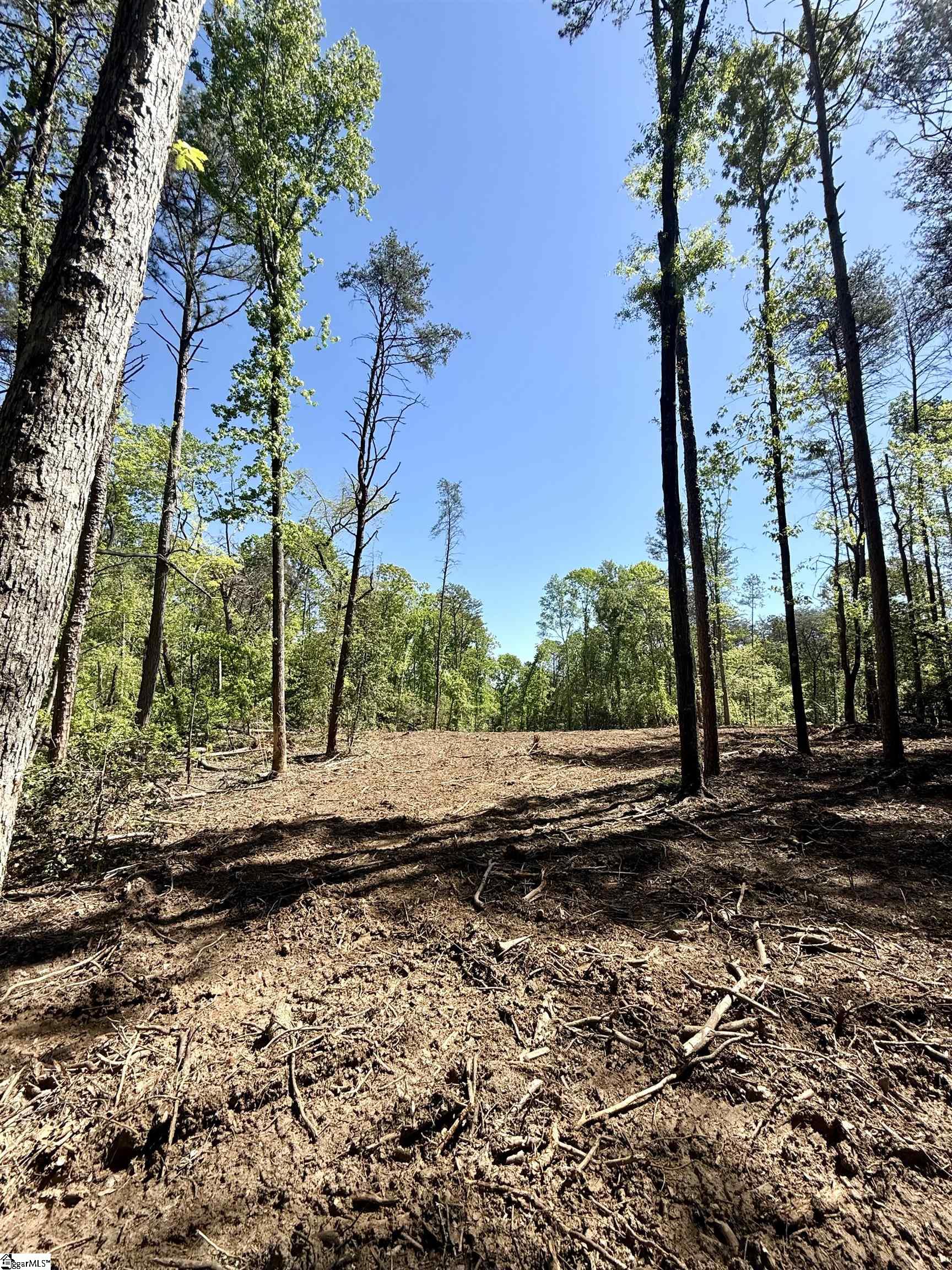 0 Thompson Road Greer, SC 29651 - Photo 20 of 31