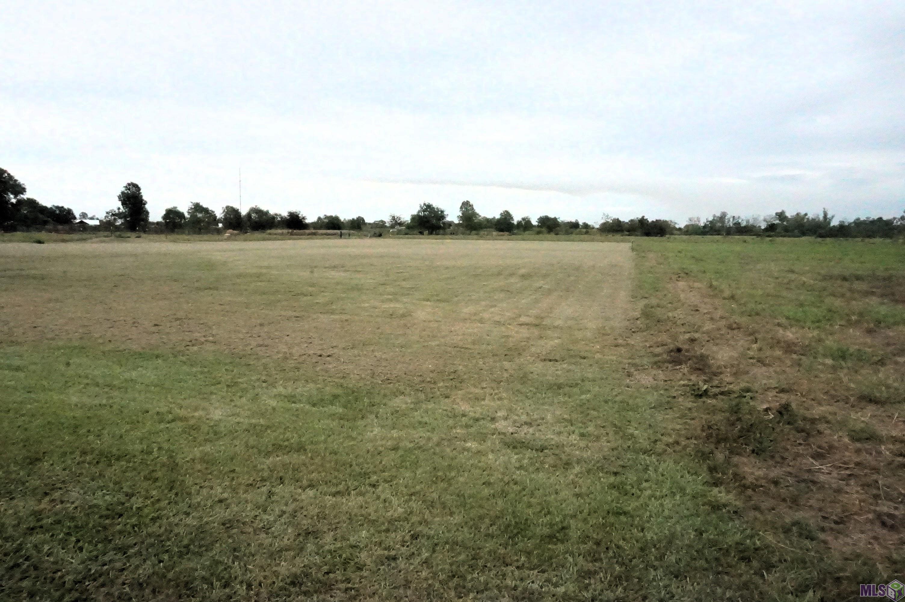 653 Highway 653 Raceland, LA 70394 - Photo 3 of 6
