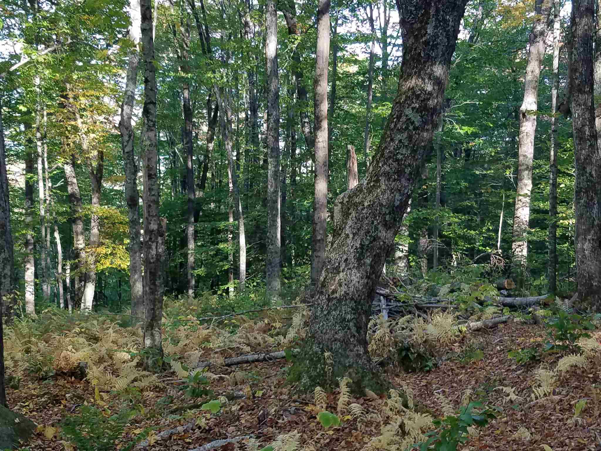 2.6-ac Ellen Road, Unit 9 10 Campton, NH 03223 - Photo 5 of 8 Gallery Image 5