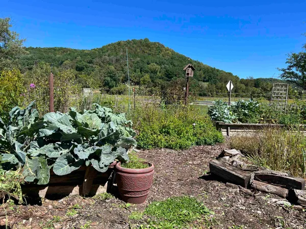 $335,500 | 49501 Highway 171, Gays Mills, WI 54631