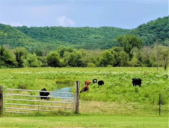 $335,500 | 49501 Highway 171, Gays Mills, WI 54631
