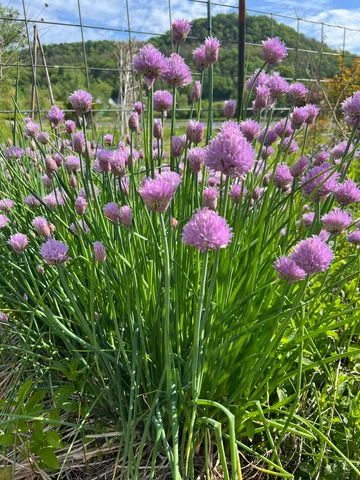 $342,800 | 49501 Highway 171, Gays Mills, WI 54631