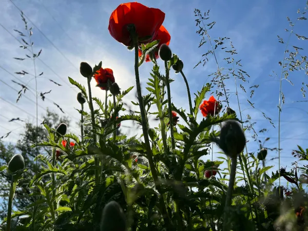 $335,500 | 49501 Highway 171, Gays Mills, WI 54631