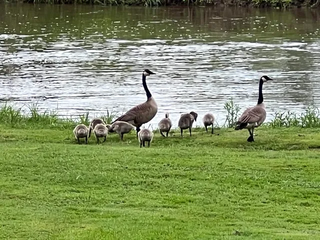 $342,800 | 49501 Highway 171, Gays Mills, WI 54631