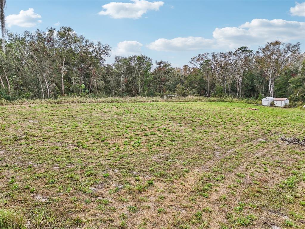Morrison Road Leesburg, FL 34748 - Photo 5 of 20 Gallery Image 5